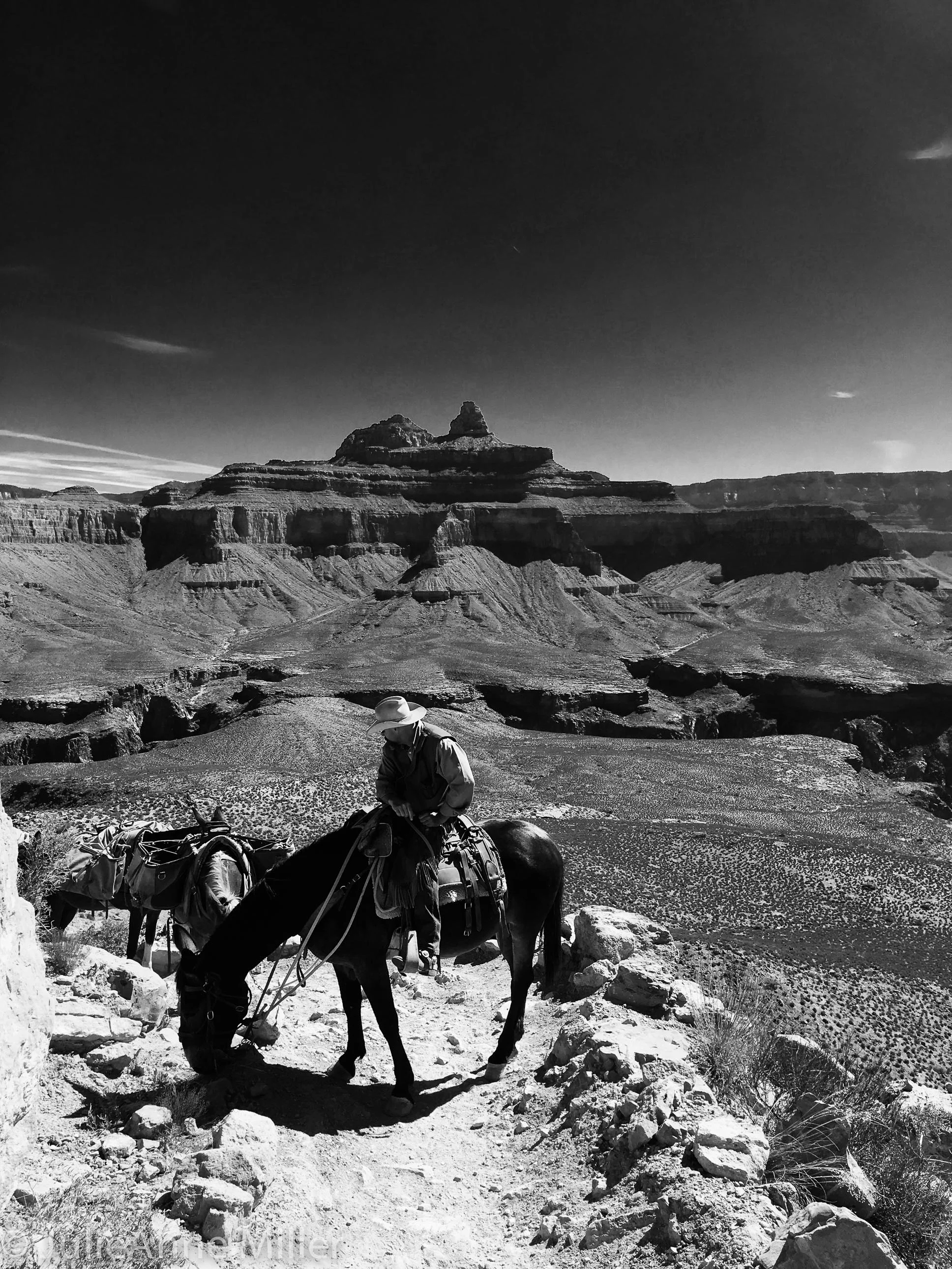 Arizona: Grand Canyon — Travel Is Zen